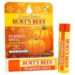 Burt's Bees Limited Edition Pumpkin Spice Lip Balm