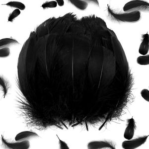 Plumas Dec