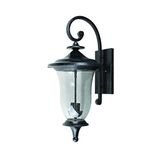 Yosemite Home Decor 8001st-2L 2-Light Exterior with Clear Seedy Glass, Large, Stone Finish