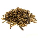 Dried Calciworms 1kg Premium Wild Bird & Hedgehog Food LPD