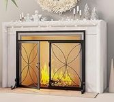 Fire Beauty Fireplace Screen