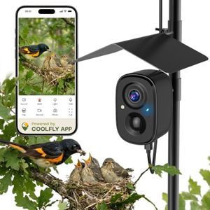 Smart Bird Feeder Camera Solar Powered w/ Pole, 2.5KHD Birdwatching Live Video Auto Capture, AI Identification & Instant Alerts, Wireless Bird Cam Outdoor for Dad Grandpa, Supports 2.4G Wifi Only