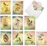 Songbird Notes: 10 Assorted Blank All Occasions Note Cards Explore Images of Floral Arrangements Centered Around Beautiful Birds, with Envelopes. AM6948OCB-B1x10