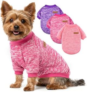 3 Pack Dog