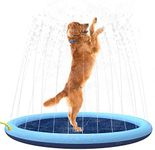 Flyboo Splash Sprinkler Pad for Dog