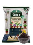 Ugaoo Cactus and Succulents Potting Soil Mix for Plants - 5 kg