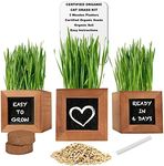 Organic Cat Grass Kit with 3 Rustic Wood Planters, Seeds and Soil. Easy to Grow for Indoor or Outdoor Cats, Dogs and Other Pets. 3 Planters to Continuous Growth of Kitty Grass.