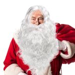 Christmas Santa Beard Wig Set Christmas Wizard Costume Accessory, White, One Size