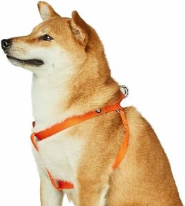 Blueberry Pet Essentials Matching Large Dog Harness | Adjustable Classic Solid Nylon No Pull Harness for Dogs | Easy Walk Dog Harness for Large Dogs & Step in Dog Harness|Orange Vermilion Dog Harness