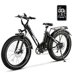 Lander S Electric Bike for Adults, 