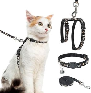 PAWCHIE Harnais pour Chat avec Laisse et Collier – Harnais réglable Anti-Fugue Qui Brille dans Le Noir pour Promenade en Plein air