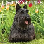 Just Scotties 2024 Calendar