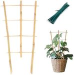 Cambaverd Trellis for Indoor Potted