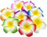 SHIVAMKRAFT 12 Pieces Artificial Multicolor Fake Foam Hawaii Frangipani Beach Floating Flowers (Multicolor, 12 Pieces)