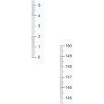 uxcell Adhesive Backed Tape Measure