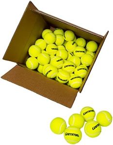 GAMMA Sports Pressureless Tennis-Balls Box, Bulk Tennis Balls, Premium Tennis Accessories, Pack of 75, CPP7510