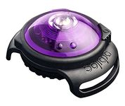 Orbiloc Dual Flashing/Solid Safety LED Light for Dogs - High Visibility Running Light Durable Water Proof Impact Resistant Attach to Harnesses and Collar Dog Walking Light - Purple