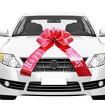 Red Bow For Car Purchase