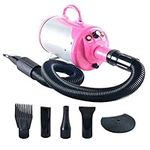 SHELANDY Pet hair force dryer Dog g