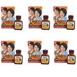 Bigen Powder Hair Color, Black Brown N20 - Pack of 6 (Combo Set)