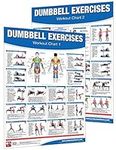 Dumbbell Workout Poster/Chart Set: 