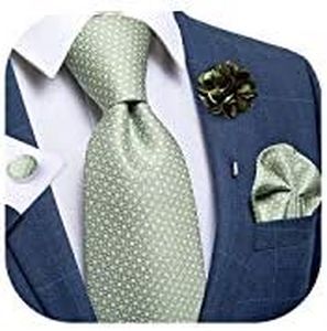 DiBanGu Silk Tie Woven Handkerchief Men's Necktie and Lapel Pin Brooch Set Paisley Plaid Solid Floral (Sage Green)