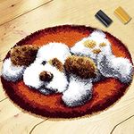 Latch Hook Kits, DIY Crochet Carpet Set, Rug Crochet Kit with Printed Canvas, Hook Yarn Kits for Kids & Adults, Latch Hook Kits for DIY Home Decor (20"x20")