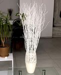 25 psc - White-Grey Birch Branches - 73 cm, Natural Birch Twigs, Pack of 20-25 Stems, Long for Floor vases, 29 inch