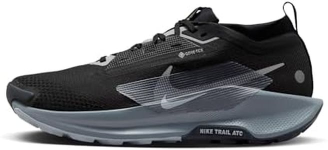 Nike Men's Pegasus Trail 5 Gore-TEX Waterproof Trail Running Shoes, Black/Wolf Grey/Cool Grey/Anthracite, 10