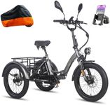 Fafrees 3-Wheel Electric Trike for 