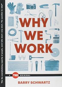 Why We Work (TED Books)