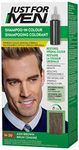 Just For Men Shampoo-In Color, Gray Hair Coloring for Men - Ash Brown, H-20 (1 Count)