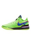 Nike Men's Zoom Lebron NXXT GEN Orewood Brown/Coral DR8784 100 (Ghost Green/Space Purple/Black/Racer Blue, US Footwear Size System, Adult, Men, Numeric, Medium, 10), Ghost Green/Racer Blue-space