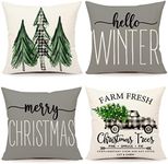 4TH Emotion Gray Christmas Pillow C