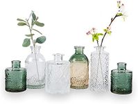 WILDMOS Glass Bud Vase Set of 6, Sm