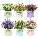 CEWOR 6pcs Fake Potted Plants Small Faux Plants Indoor Artificial Flowers Outdoor in Macaron Pot, Desk Plants for Home Indoor Bathroom Kitchen Shelf Office Decor