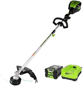 Greenworks