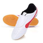 Taekwondo Shoes, Unisex Martial Arts Sports Shoes Training Shoes for Karate, Taekwondo Karate Boxing Kung Fu Tai Chi Sport Gym Lightweight Shoes for Children and Adults