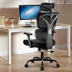 Winrise Office Chair Ergonomic Desk