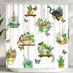 Hanging Potted Plants Cat Shower Cu