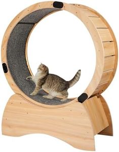 Cat Exercise Wheel, Cat Wheel with Carpeted Runway, Cat Running Wheel for Indoor Cats, Kitty Cat Sport Toy, Enhance Your Cat's Playtime with Running, Spinning, and Scratching Fun