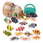 Terra by Battat - 60 Tropical Fish World in Tube - Assorted aquatic sea miniature, clown fish, blue surgeon fish, crabs & more, figurines for kids 3 Years + (60 Pc)