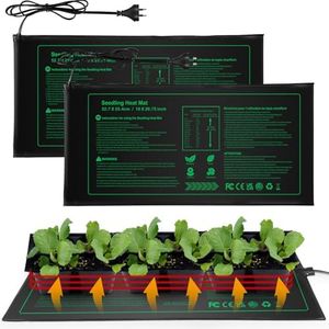 Seedling H