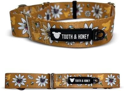 Tooth & Honey Martingale Collar for Dogs, 1.5" Wide, 17–22" Adjustable Fit, Heavy-Duty No-Buckle Dog Collar, Escape-Resistant Collar with Daisy Print Design (157)