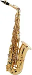 Selmer Paris SeleS AXOS Series Alto