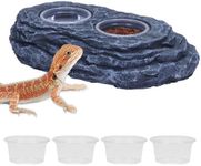 AIICIOO Crested Gecko Feeding Ledge Strong Magnetic Pet Food Bowl and Water Dish with 6 Pack Plastic Reptile Food Cup for Frog Chameleon Tortoise Lizard Pet