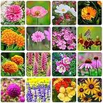 10000+ Perennial Mix Wildflower See