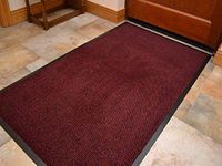 Heavy Duty Barrier Mat Indoor & Outdoor Kitchen Hallway Door Mat Rug Machine Washable Back Door Entrance Non Slip Traps Dirt PVC Rubber Barrier Mat (Red, 80x140cm)