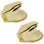 ZJIVQO 2Pcs Solid Hip Hop Teeth Plain Single Tooth Fangs Cap for Teeth Hip Hop Teeth Grillz Bling Slugs Decoration for Teeth Mouth, Party Accessories Teeth Grills