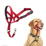 HALTI Headcollar Size 3 Red, UK Bestselling Dog Head Harness to Stop Pulling on the Lead, Easy to Use, Padded Nose Band, Adjustable & Reflective, Professional Anti-Pull Training Aid for Medium Dogs